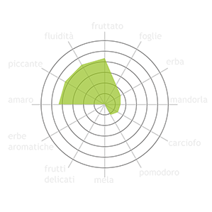 cultivar di olivo bianchera